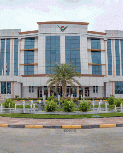 thumbs_847_555_t_t_f